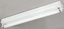 Canarm EFT824117 - ES Fluorescent, EFT824117 (FT8241), 24 IN Strip, 1 Bulb, Ceiling/Side Mount, 17W T8, YC322516E-1