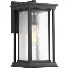 Progress P5610-31 - P5610-31 1-100W MED WALL LANTERN