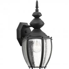 Progress P5765-31 - P5765-31 1-100W-MED WALL LANTERN