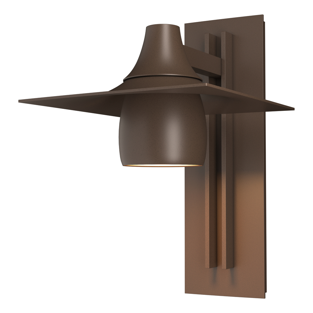 Hood Large Dark Sky Outdoor Sconce