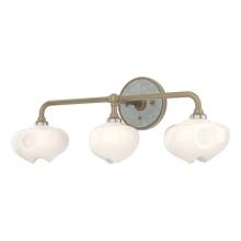 Hubbardton Forge - Canada 201342-SKT-84-82-FD0710 - Ume 3-Light Curved Arm Bath Sconce